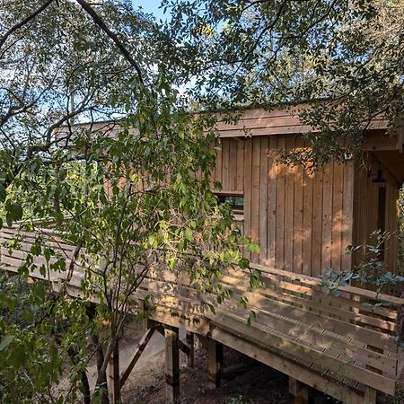 Les Cabanes Dans Les Bois Logis Hotel Villedubert Bagian luar foto