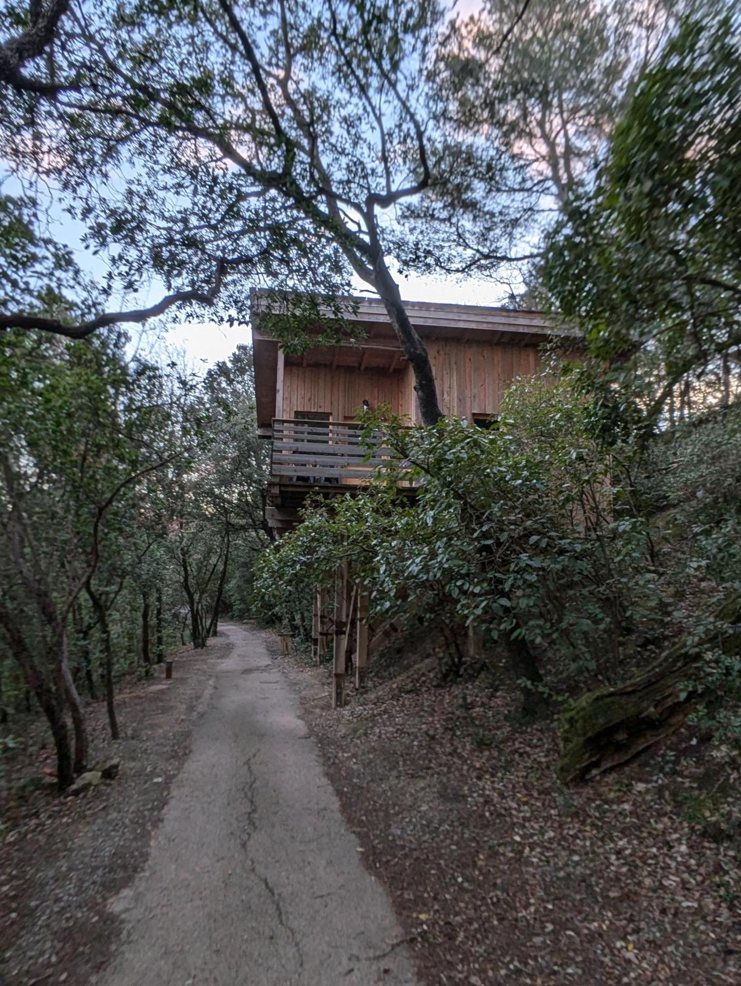 Les Cabanes Dans Les Bois Logis Hotel Villedubert Bagian luar foto