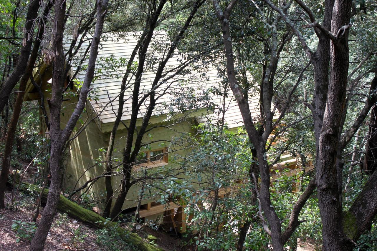 Les Cabanes Dans Les Bois Logis Hotel Villedubert Bagian luar foto