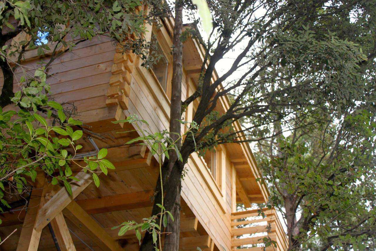 Les Cabanes Dans Les Bois Logis Hotel Villedubert Bagian luar foto