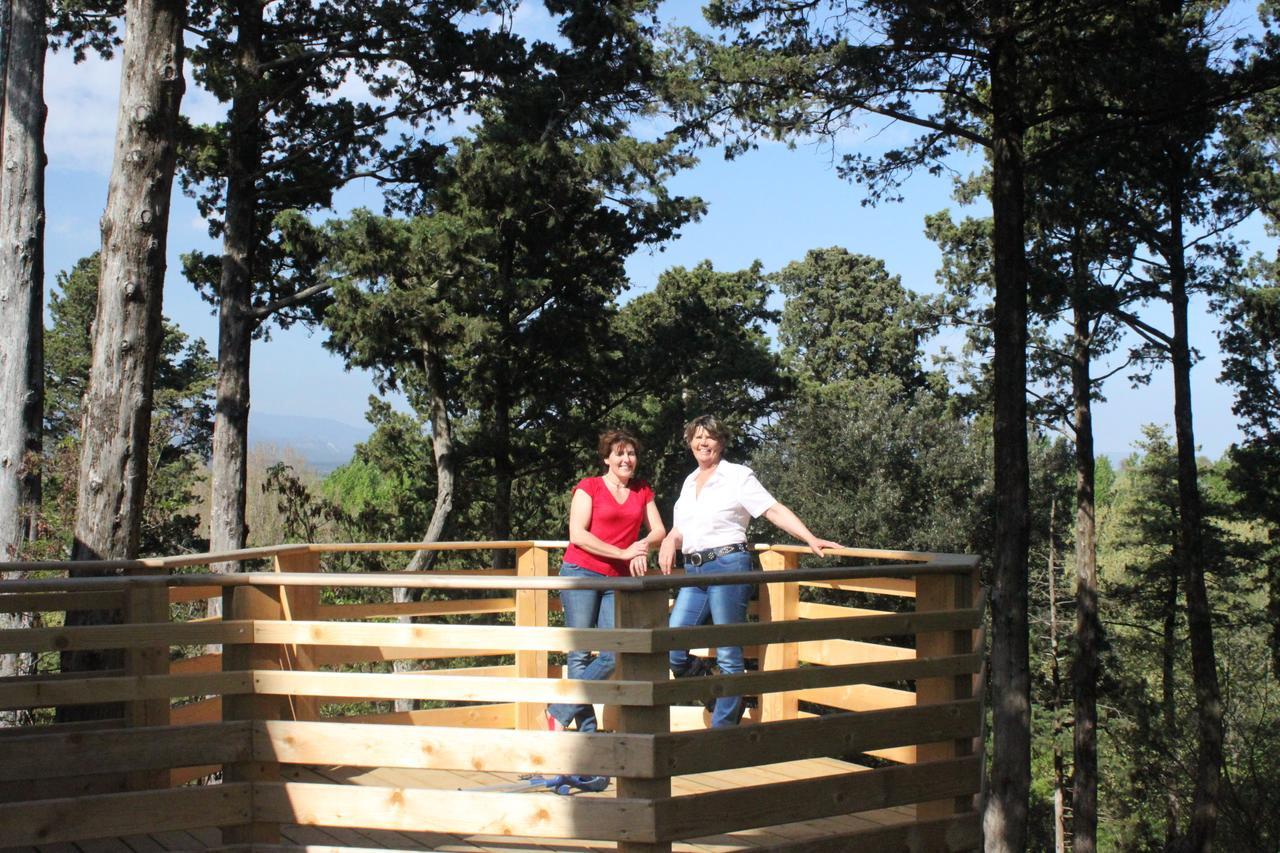 Les Cabanes Dans Les Bois Logis Hotel Villedubert Bagian luar foto