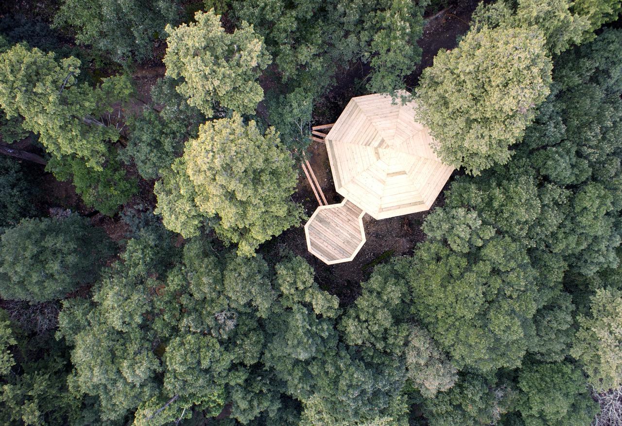 Les Cabanes Dans Les Bois Logis Hotel Villedubert Bagian luar foto