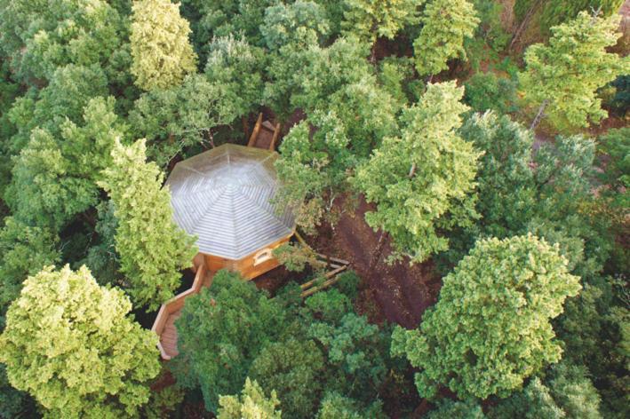 Les Cabanes Dans Les Bois Logis Hotel Villedubert Bagian luar foto